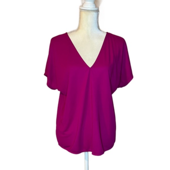 ⭐️Ann Taylor V-Neck  Top - Picture 1 of 7